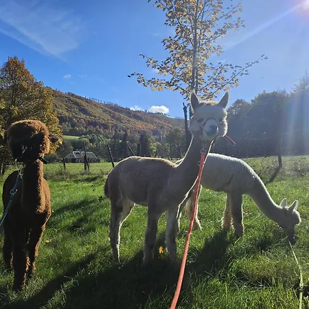 Prázdninový dům Glamping Zlaté Podlesí #1 *
