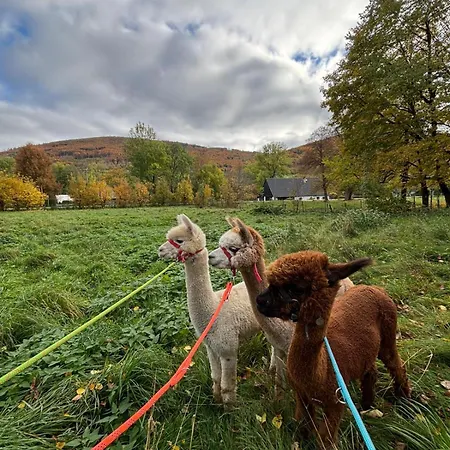 Glamping Zlaté Podlesí #1 Prázdninový dům Zlaté Hory