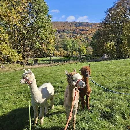 Glamping & Farm Zlate Podlesi - Slamacek V Sadu Zlaté Hory
