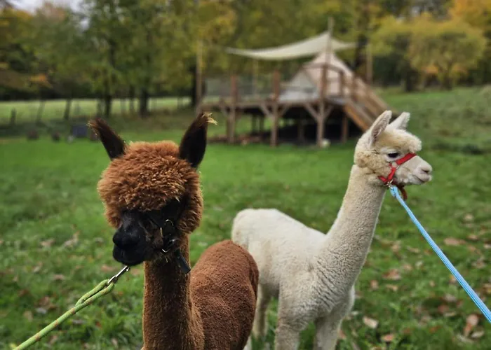 Glamping Zlaté Podlesí #1 Casa vacanze *